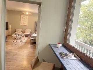 Grand appartement rénové, tout confort - Nancy - 5
