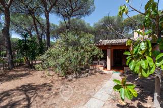 Garden Pine House - Forte Village - 4