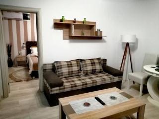 Apartman SIMONA - Bor - 1