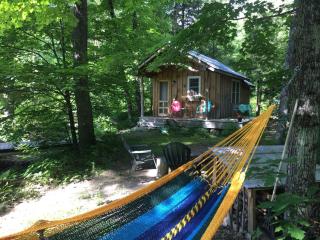 Custom Cabin Surrounded by River in Newfane, Vermont - - 7