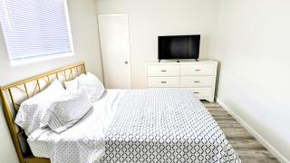 Tropical Retreat - Clearwater Beach - 5