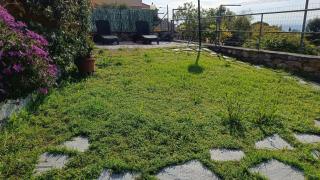 Sea Garden - San Bartolomeo al Mare - 7