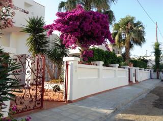Residence Delle Rose Lido Marini - Lido Marini - 2