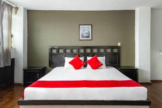 OYO Hotel Halley - León - 8