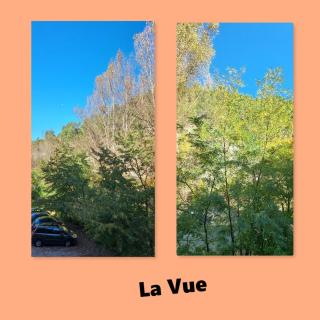 Calme et arboré, Studio 34 - Digne-Les-Bains - 5