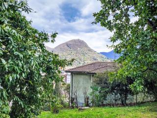 Apartment App- Castausio 26 by Interhome - 6