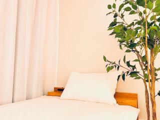 新上双卧套房 最大5人 设计师风格Yaof 东京中心上野公园3分钟 车站1分钟 位置极佳超级繁华 房间内看樱花 - 3