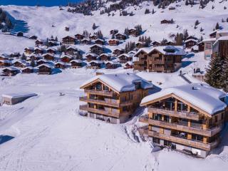 Apartment Apartmenthaus Riederhoru A 1- OG Ost by Interhome - Riederalp - 8