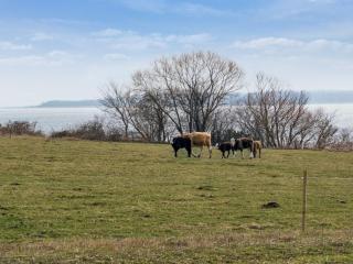 Holiday Home Salka - 200m to the inlet by Interhome - Frederiksværk - 4