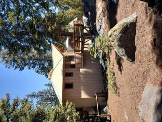Modern Cabin Rental Ideal for a Family Vacation in California - Ponderosa - 2