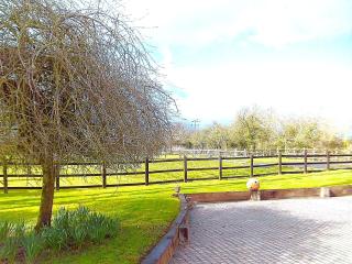 Pass the Keys Tranquil Farm Cottage Perfect Country Get Away - Halesworth - 6
