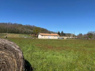 Gite du chêne vert - Montcaret - 7