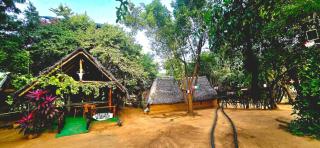 Thumbaya Resorts Yala - Tissamaharama - 6