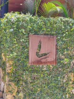 Suite Moderna - King - Piscina - 5ta Av - Playa - Playa del Carmen - 7