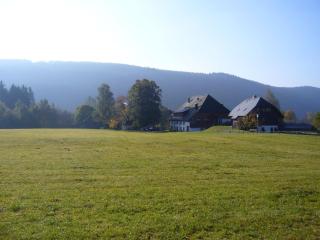 Hermeshof und Biohaus - Titisee-Neustadt - 8
