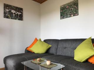Ferienwohnungen Kehrwieder - Todtnauberg - 9