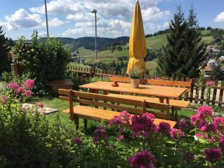 Ferienwohnungen Kehrwieder - Todtnauberg - 2