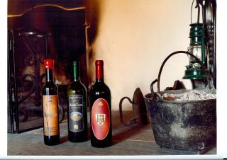 Agriturismo il Pino - Bioagricoltura - Monticello - 4