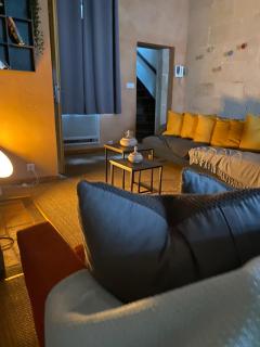 Grand Appartement historique Rue Colbert - Tours - 6
