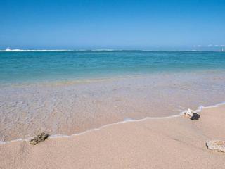 Villa Turtle tropicale - private pool - Saint-Paul - 8