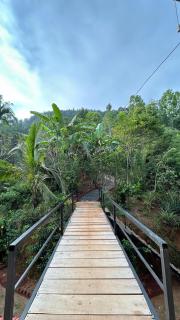 Mountain Shack Homestay - 5