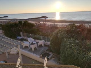 Porte Bleue de la Plage - Frontignan - 1