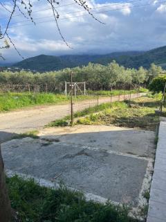 Ariel - Georgioupolis - 5