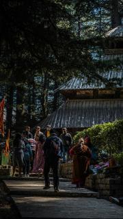 Hostel 360 Degree, Riverside Stay, Old Manali - Manali - 3