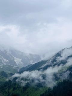 Hostel 360 Degree, Riverside Stay, Old Manali - Manali - 6