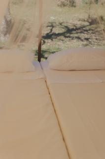 WilderCamp - Almeida - 1