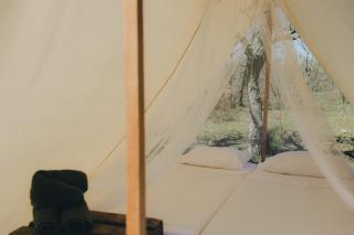 WilderCamp - Almeida - 5
