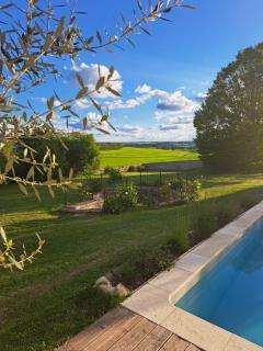 Le domaine aux herbes folles - 4