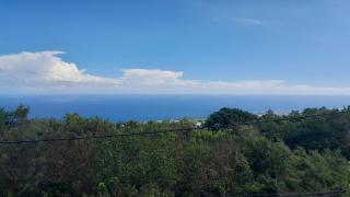 Appartement Le Longanis-Mont Vert les Bas - Saint-Pierre - 4