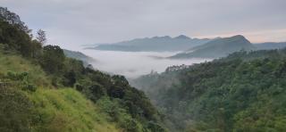 Robin's Paradise Vagamon - Vagamon - 7