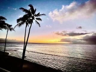 Papakea L-308 - Kahana - 2