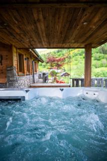 Les Brimbelles, détente & spa, au cœur des Vosges - Ventron - 9