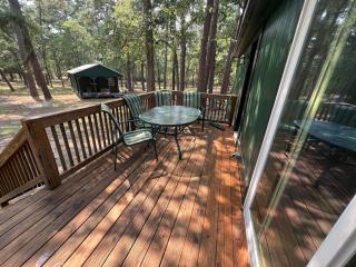 The Pine Tree Palace - 3