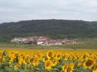 Harmony Hills Tomovi Apartment K32 - Rogachevo - 6