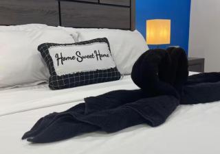 Luxury Midtown Suite in Houston near TMC and NRG - Houston - 1