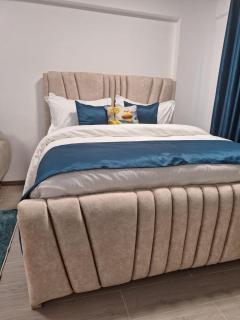 Camore Golden Mango - Nairobi - 5