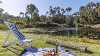 Madron Farm Cottage - oneness with nature - Stanford - 7