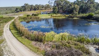 Madron Farm Cottage - oneness with nature - Stanford - 8