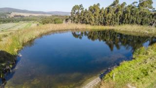 Madron Farm Cottage - oneness with nature - Stanford - 9