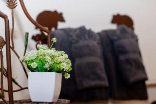 Hummingbird Heaven Cozy Cabin 1 Block to Lake, located in Town - 7