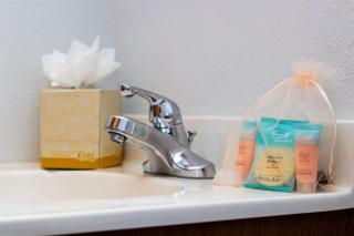 Columbine Charming Cabin, 1 block from the lake, in town, 5 min to RMNP - 1