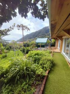 Casa da madeira - Machico - 9
