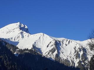 studio cabine Chatel - Châtel - 2