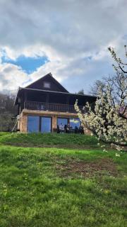 Forest Heaven Retreat - Čačak - 9