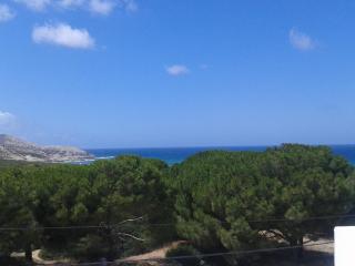 maison à louer à la grotte de bizerte foret et mer - - 9