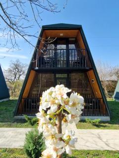 Diamond Cottages - Lagodekhi - 7